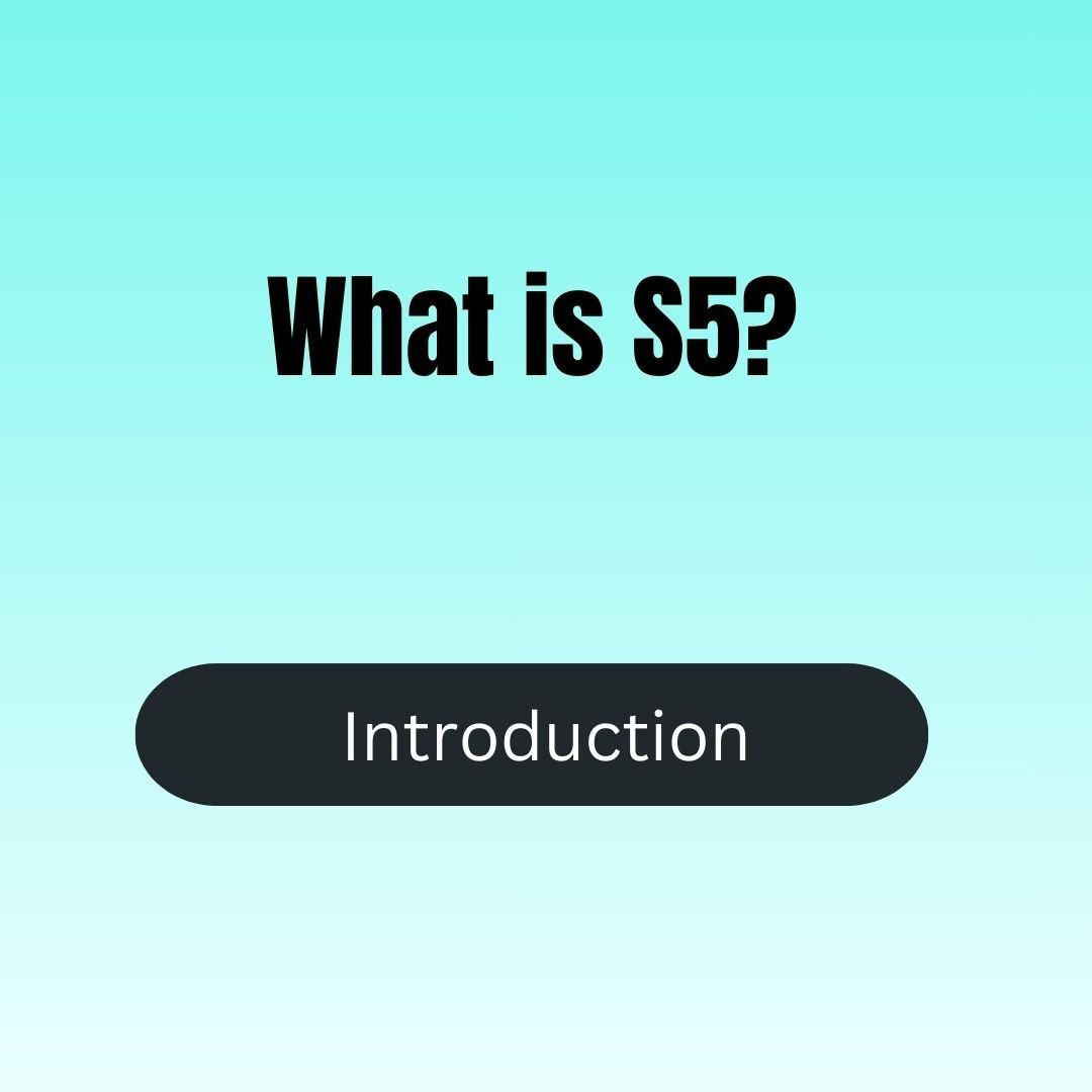 What is S5 - SoulSTRONG System?