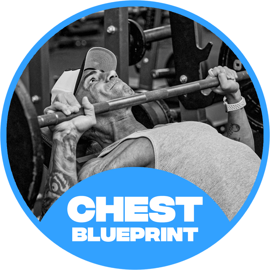 The Chest Blueprint