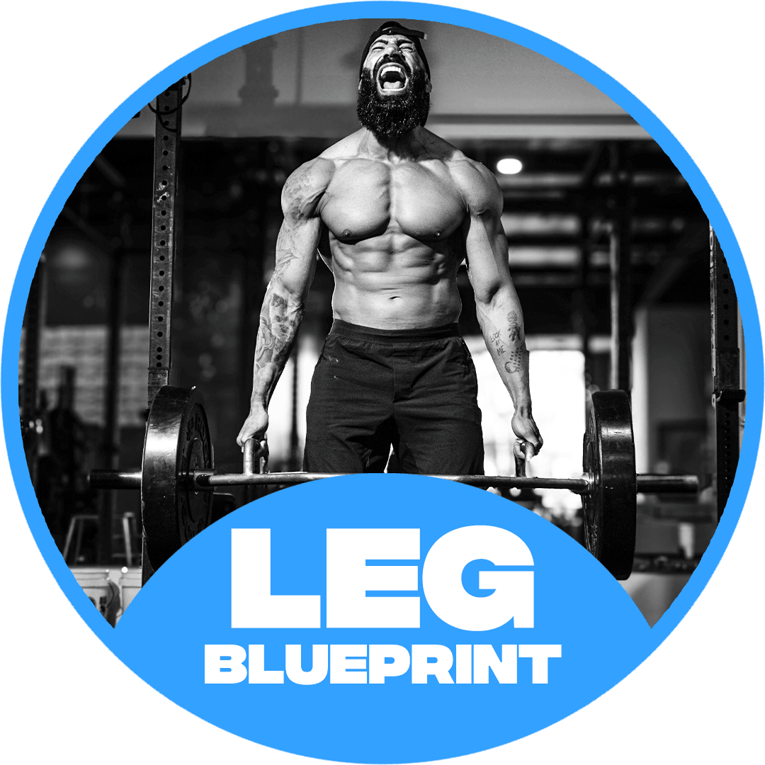 The Leg Blueprint