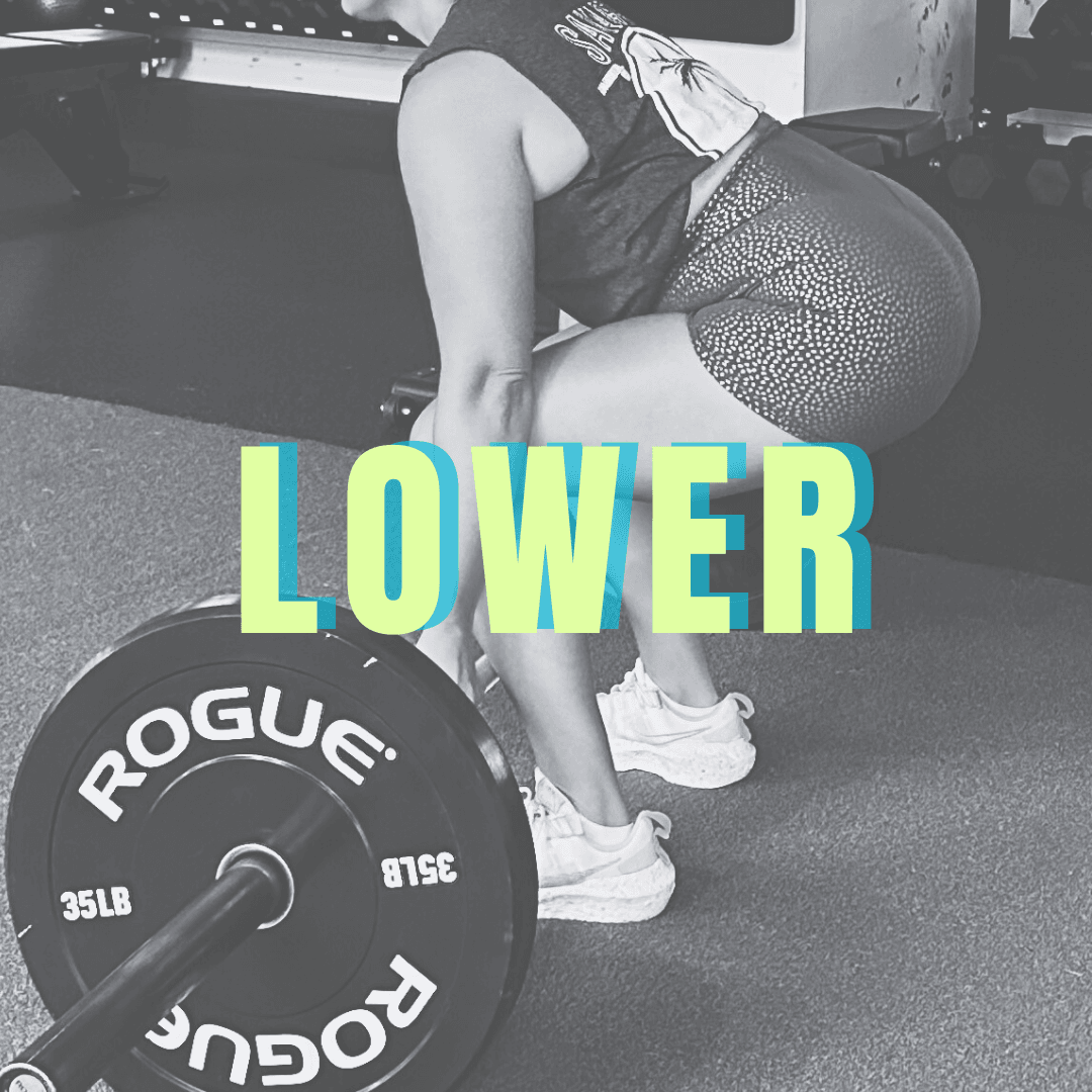 Lower Body