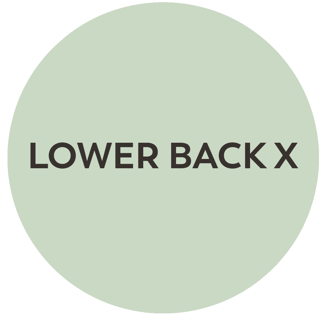 Lower Back X
