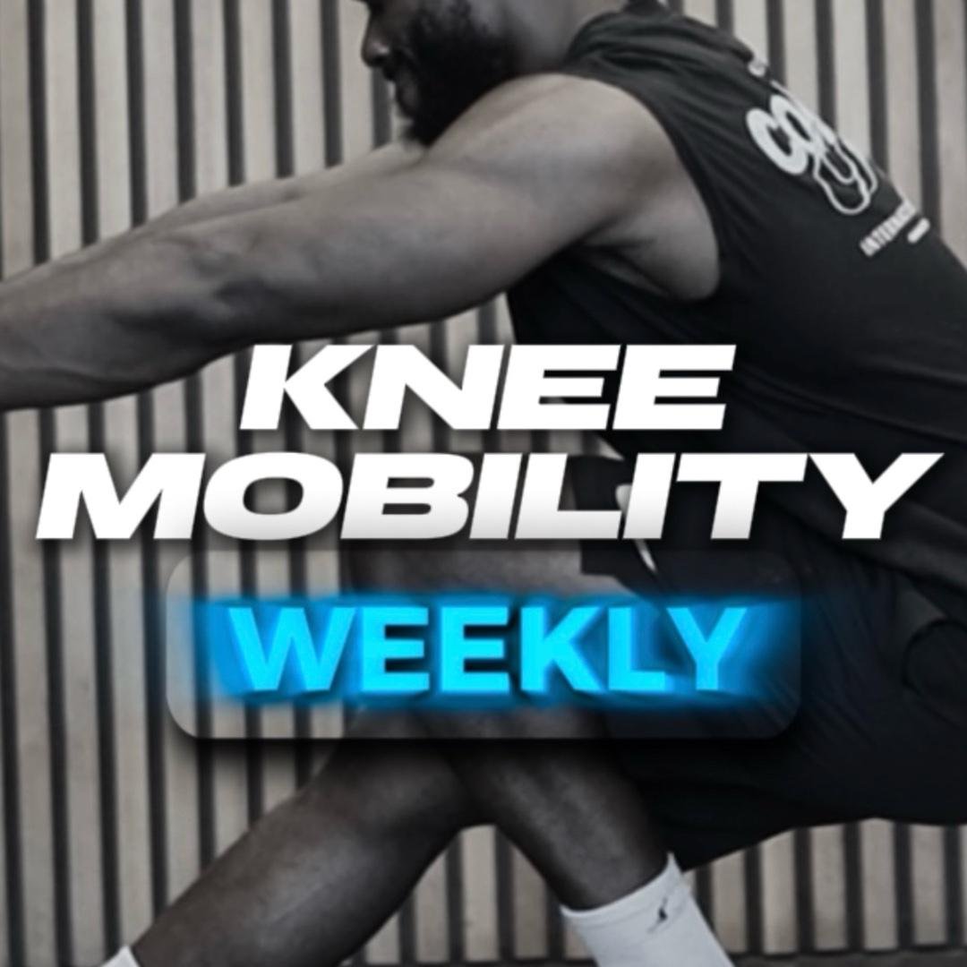 KNEE MOBILITY