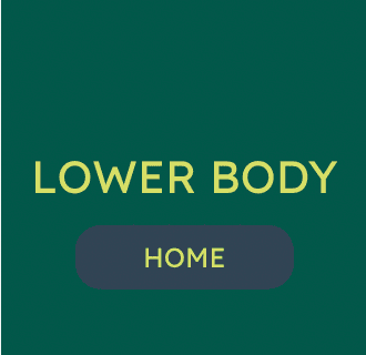 LOWER BODY