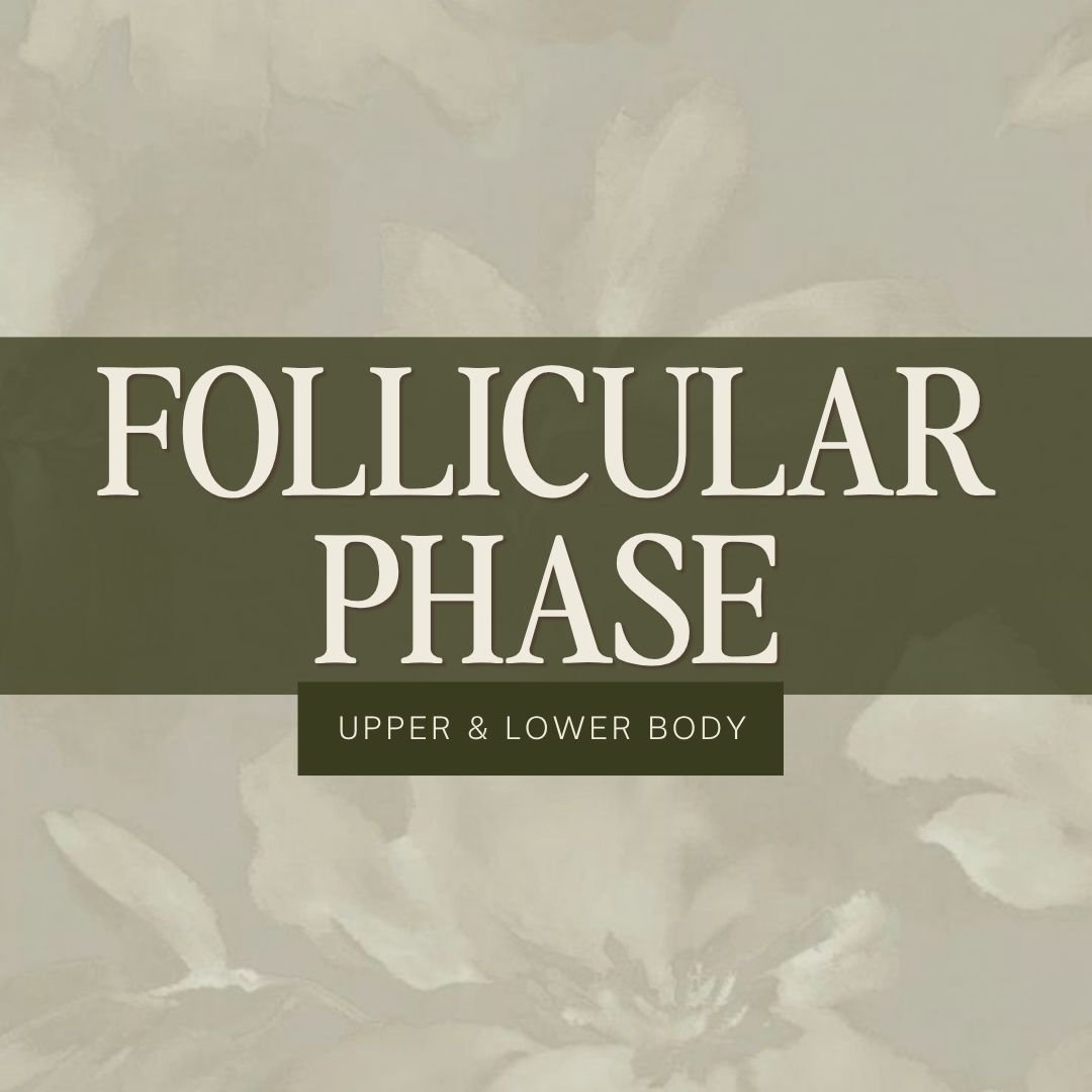 Follicular Phase