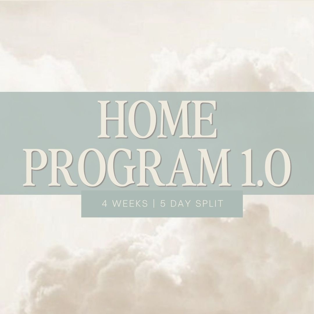 Home Program 1.0