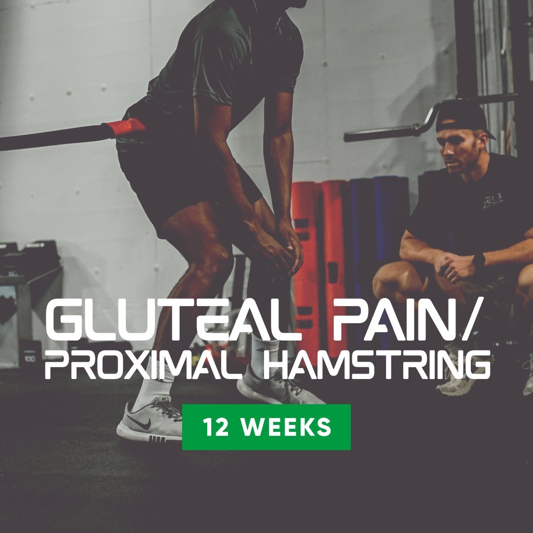 Gluteal Pain / Proximal Hamstring