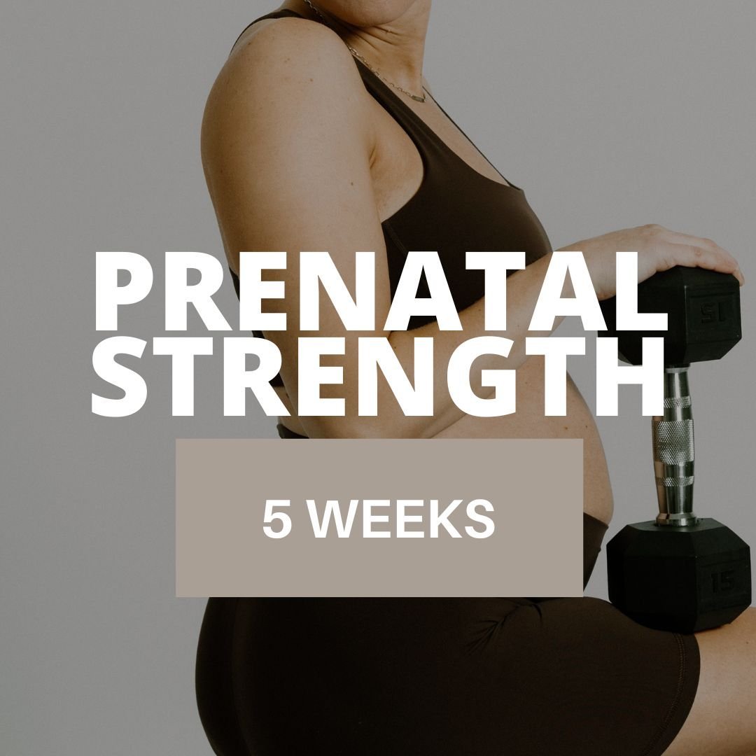 5 WEEK PRENATAL PROGRAM by Gina Paulson