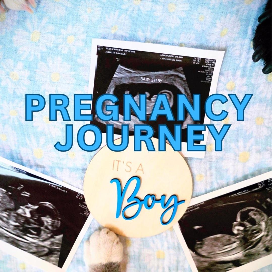 My Prenatal Workouts