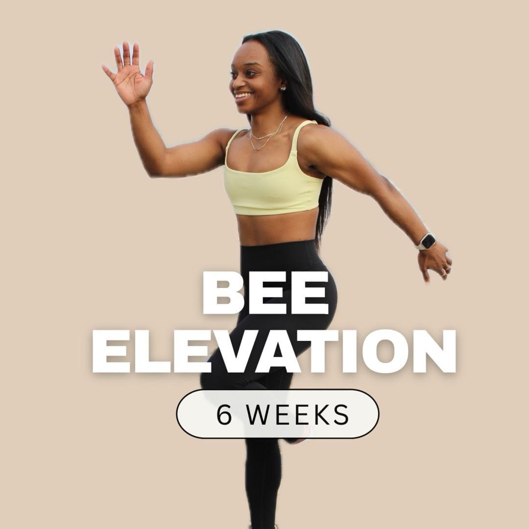 BEE Elevation Vol.2