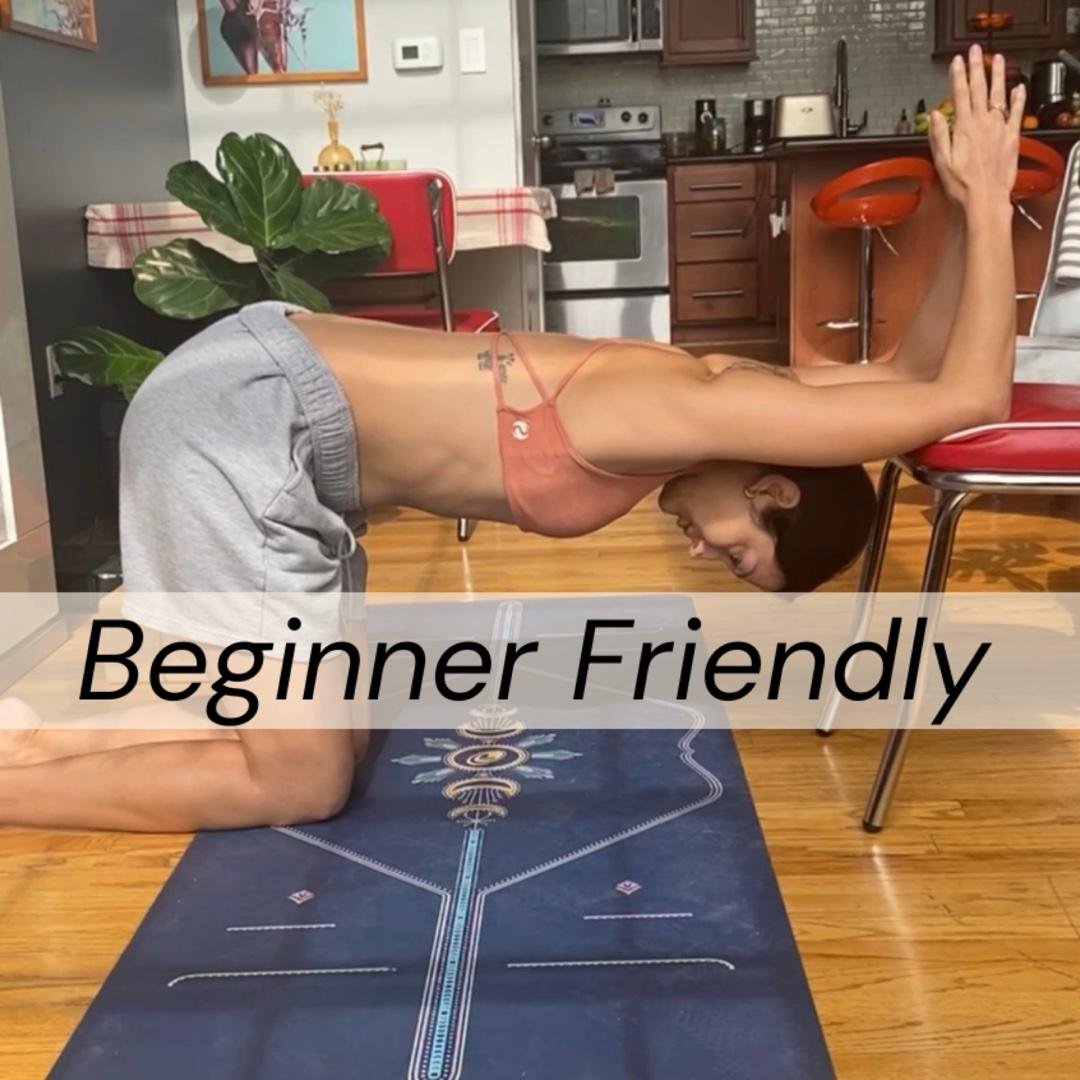 BEGINNER FRIENDLY