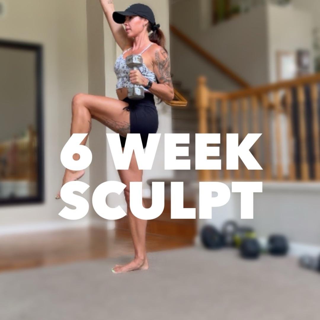 Six Week Sculpt