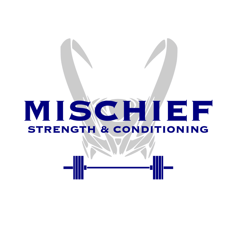 MSC Daily WOD 2026