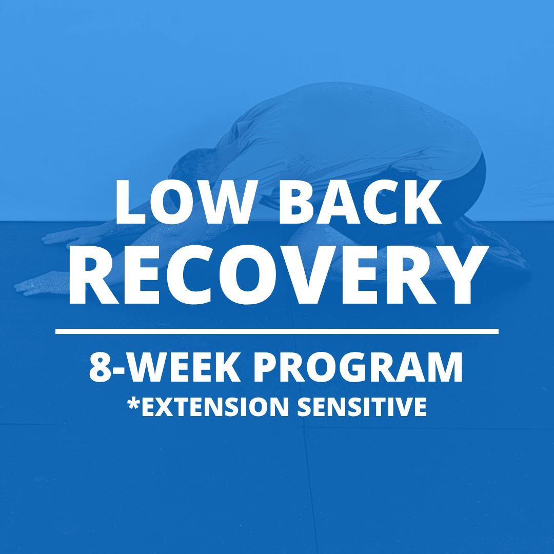 Low Back Recovery 2