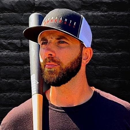 POWER HITTING by Vic Ferrante