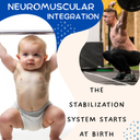 Neuromuscular Integration