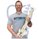 John Besharse PT, DPT, Cert. DN, CSCS,NKT1, CEAS