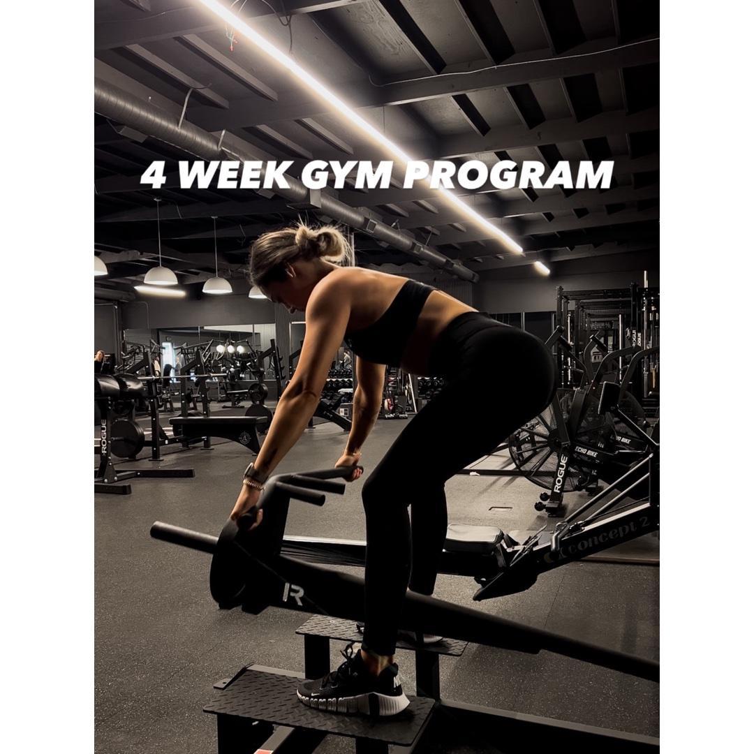WEEK 1-4| Day Two: Upper Body | back and biceps