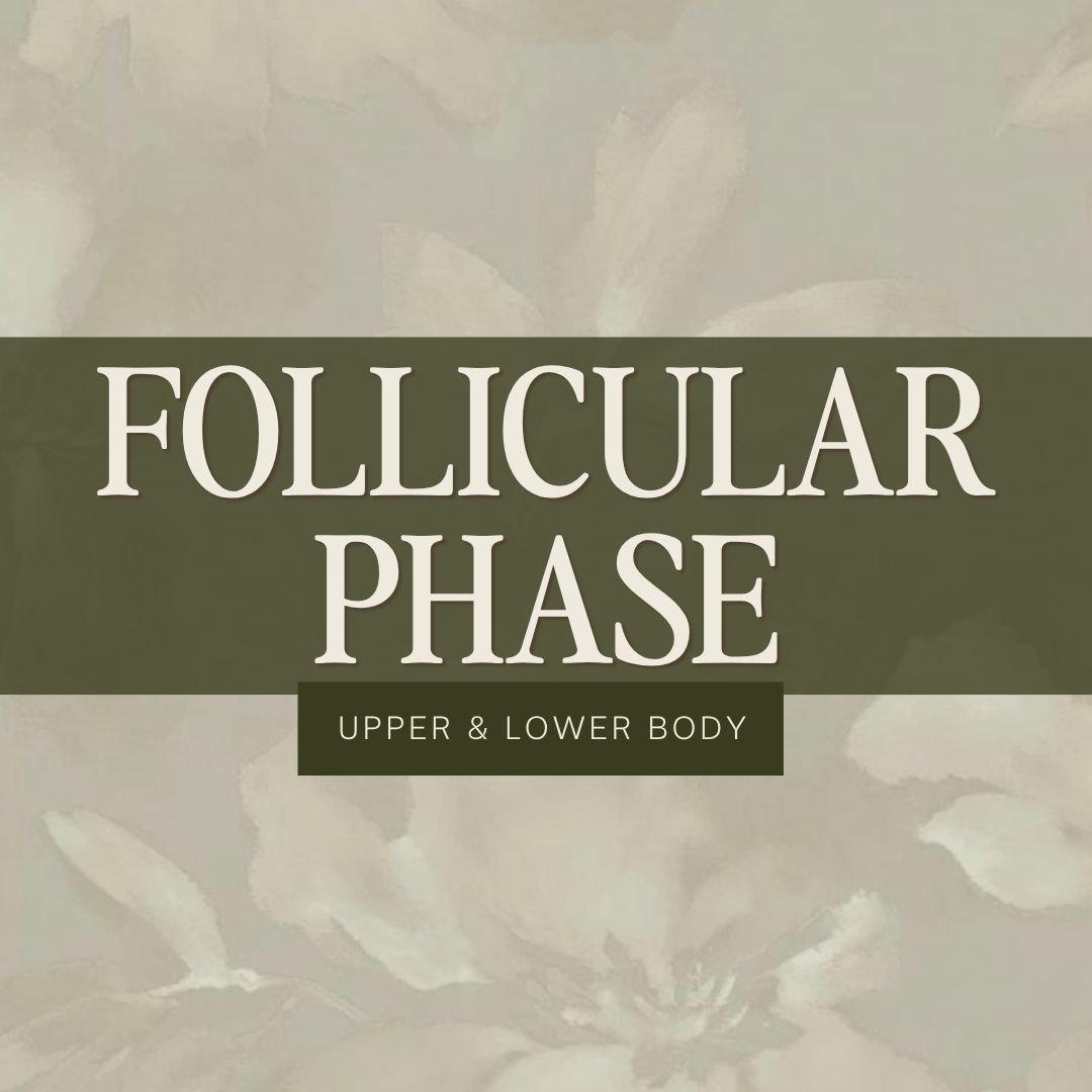 Follicular Phase
