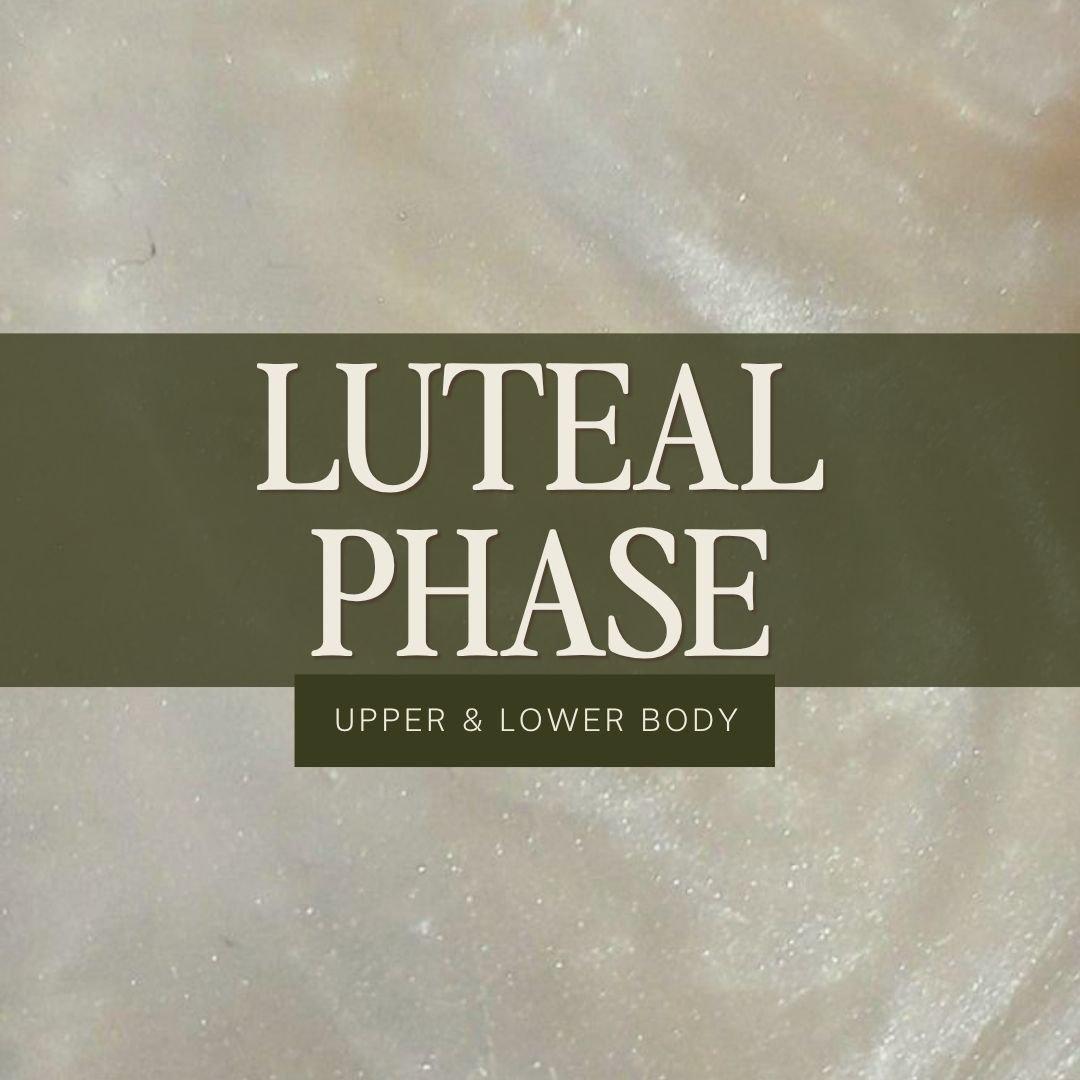Luteal Phase