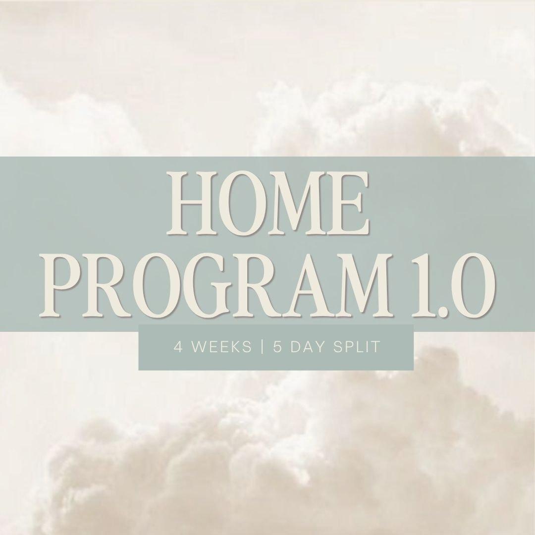 Home Program 1.0