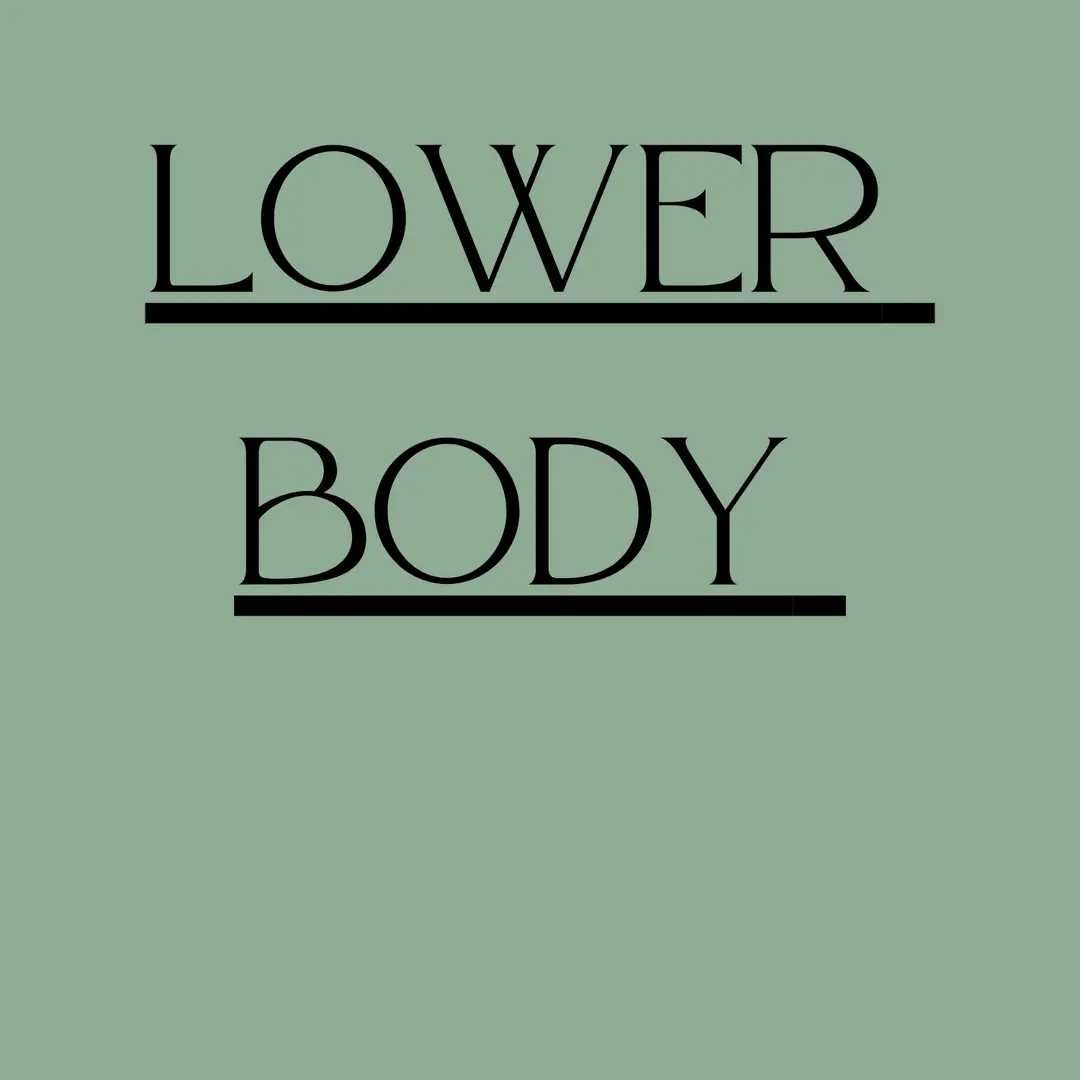 Lower Body Workouts