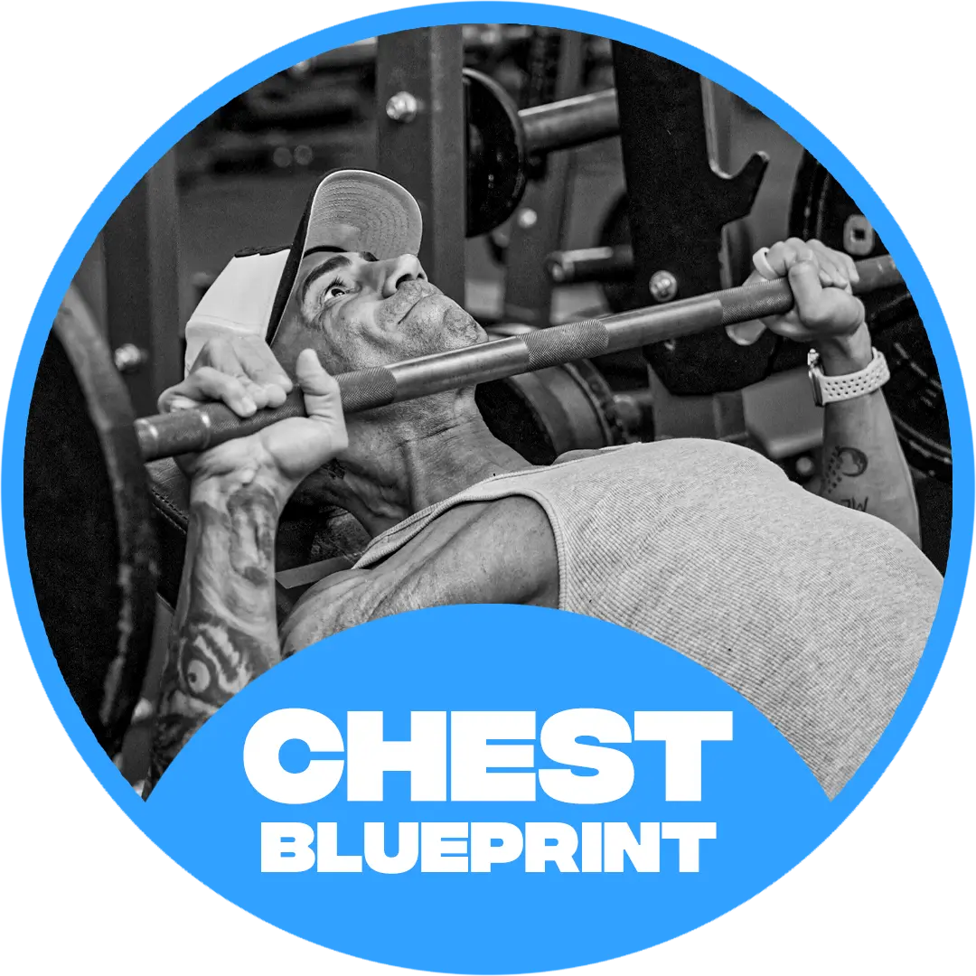 THE CHEST BLUEPRINT