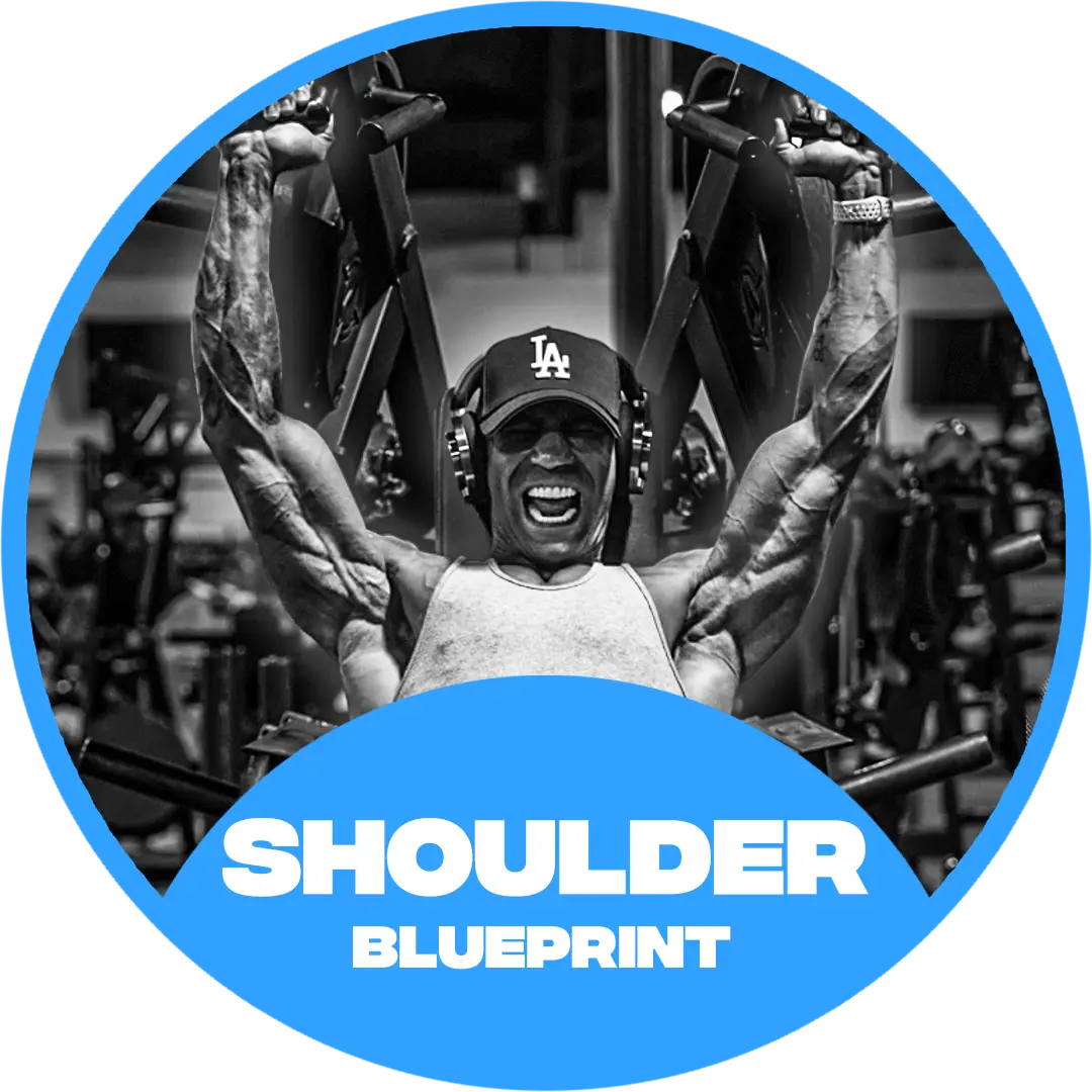 THE SHOULDER BLUEPRINT
