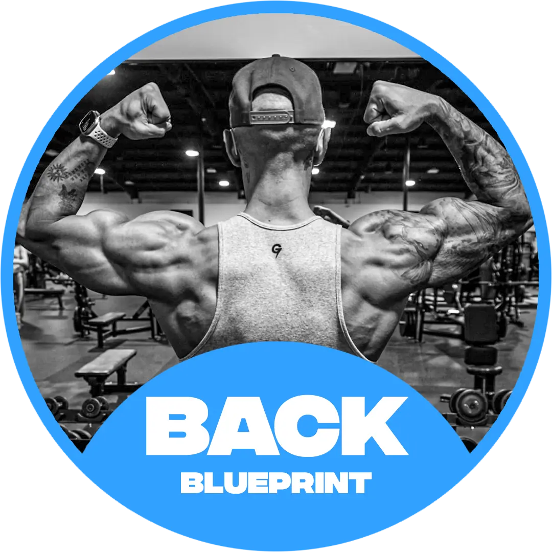 THE BACK BLUEPRINT