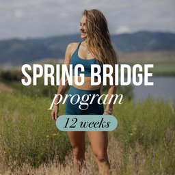 12 Week Hybrid Program