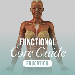 The Functional Core: Education