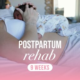 The Functional Core Postpartum: Rehab Only