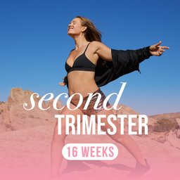 Second Trimester