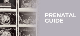 Prenatal Running Guide