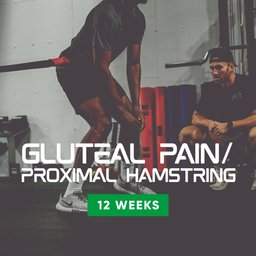 Gluteal Pain / Proximal Hamstring