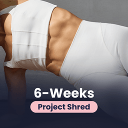 Project Shred