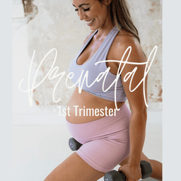 1st Trimester Strength Program