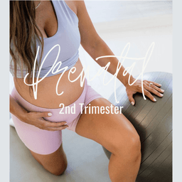 2nd Trimester Strength Program