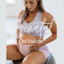 3rd Trimester Strength Program