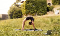 Backbends-Ponte