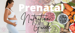 Prenatal Nutrition Guide