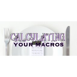 FNA FIT -  Macros.pdf