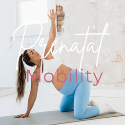 Prenatal Mobility