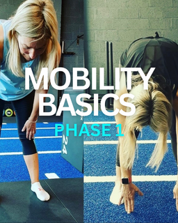 The Basics Mobility - Phase 1