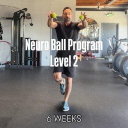 Neuro Ball Level 2 Hand/Eye Coordination Program