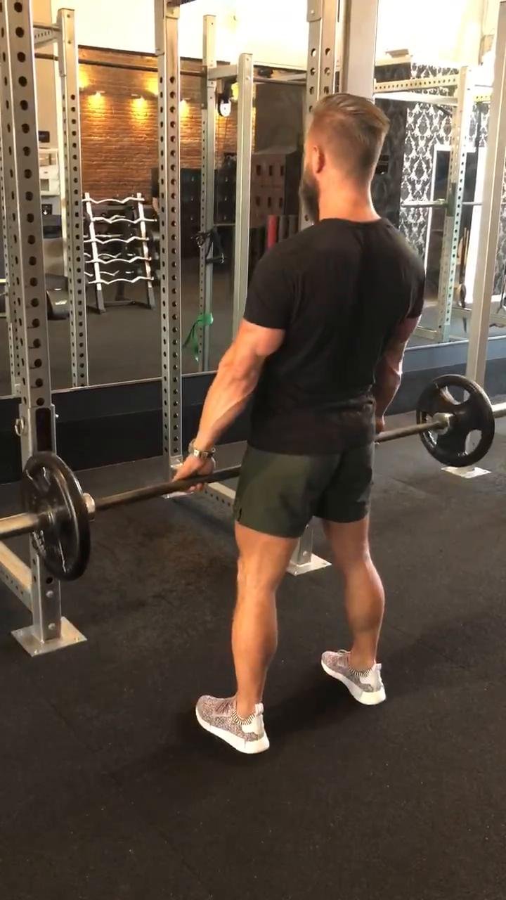 Legs
