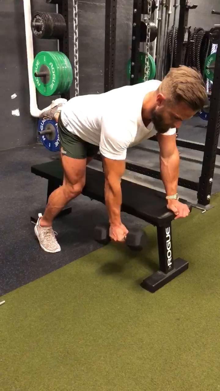 Cut - Back & rear delt