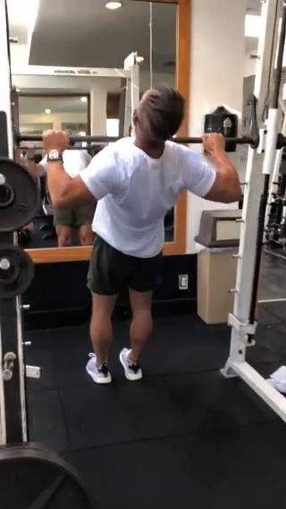 Cut - Back & rear delt