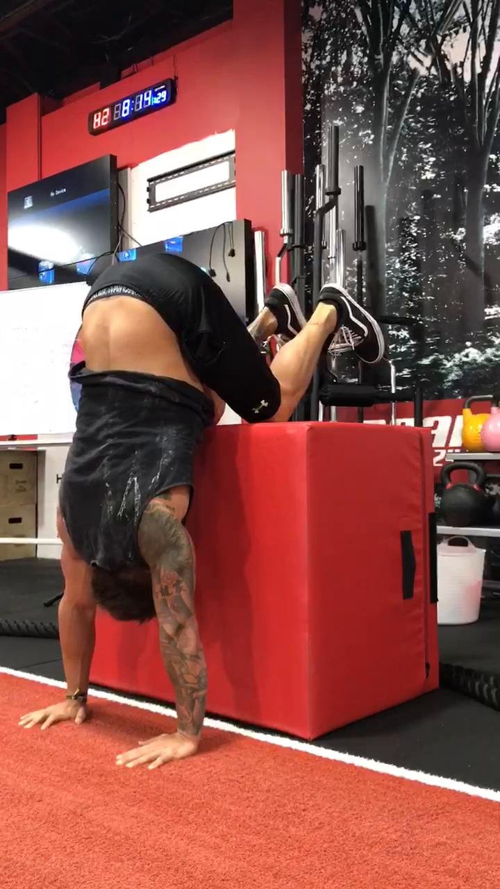 Learn to Handstand in 12 weeks  (beginner to intermediate guide)