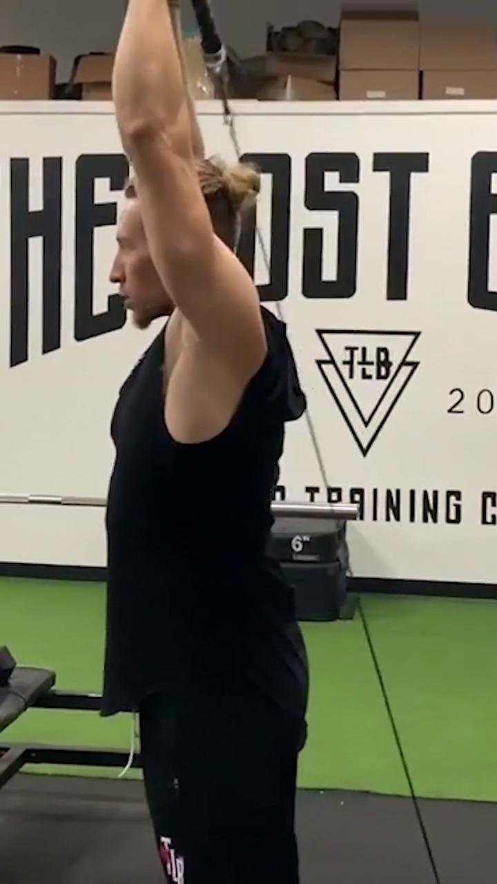 - Shoulders & Arms