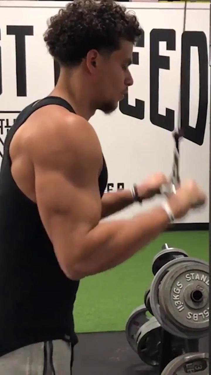 - Shoulders & Arms